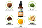 Detox Startkit Binders