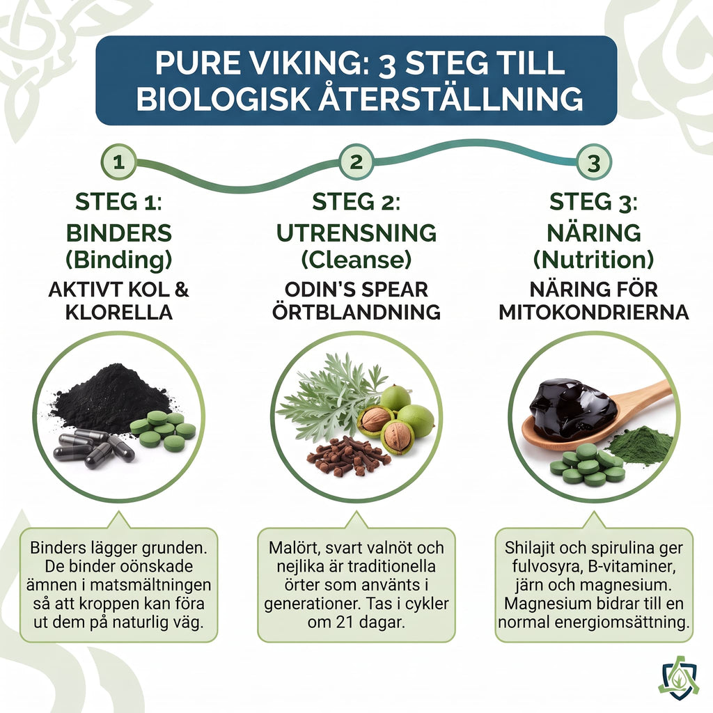 Refillkit Binders i tre steg: binders med aktivt kol och klorella, Odin's Spear örtblandning och näring med shilajit