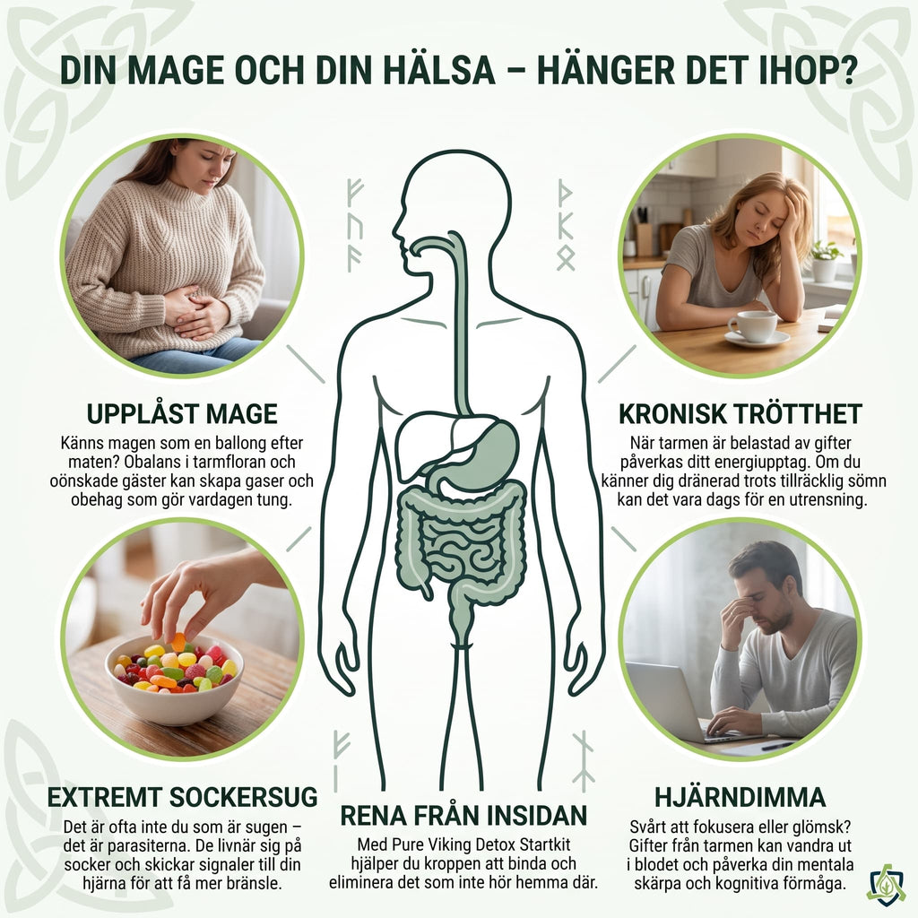 Infografik om mage och vardag kring Refillkit Binders med illustrerad matsmältning och fyra personer i vardagsmiljöer