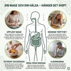 Infografik om mage och vardag kring Refillkit Binders med illustrerad matsmältning och fyra personer i vardagsmiljöer