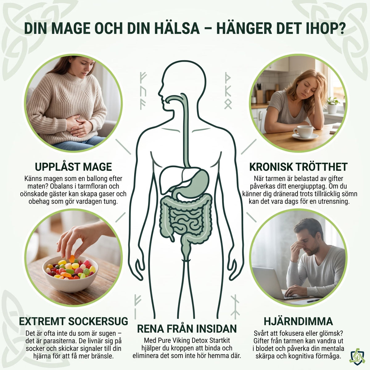 Detox Startkit